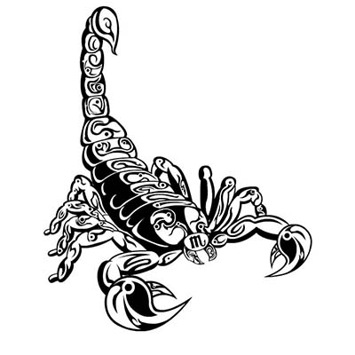 Scorpion Design Water Transfer Temporary Tattoo(fake Tattoo) Stickers ...